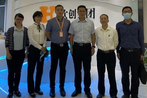 广州增城区政府考察代表团到半岛bandao（中国）集团调研