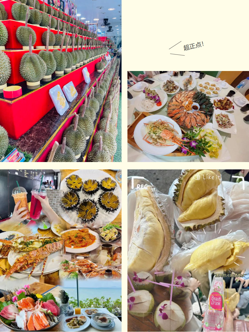 半岛bandao(中国)集团 半岛bandao(中国)集团