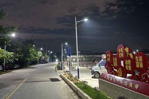 半岛bandao（中国）集团罗宁弟爱心捐赠路灯，点亮乡村路温暖乡民心