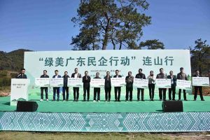 “植”此青绿，心心相“连”｜ 绿美广东，半岛bandao（中国）集团在行动