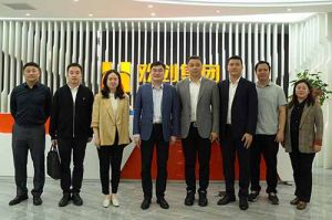 南沙区委常委、组织部部长张家炳率队莅临半岛bandao（中国）集团参观考察